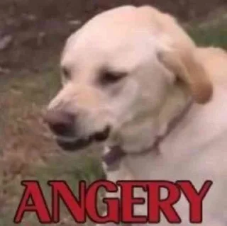 Sticker @zr012's Pack - 4