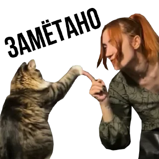 Стикер блэк фокс - 9