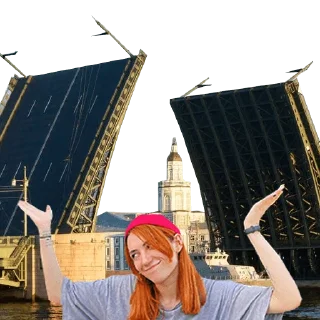 Стикер блэк фокс - 0