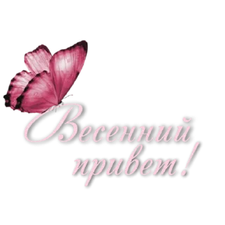 Стикер СТИКЕРЫ от канала
@Lana_stikers - 11