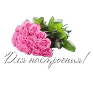 Стикер СТИКЕРЫ от канала
@Lana_stikers - 6