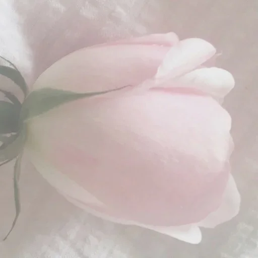 Sticker LanxLiterSile_by_fStikBot - 1