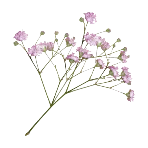 Sticker LanxLiterSile_by_fStikBot - 1