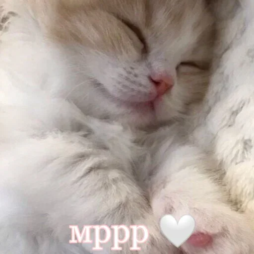 Стикер soft (⑅•ᴗ•⑅) ..°♡ :: @fStikBot - 11