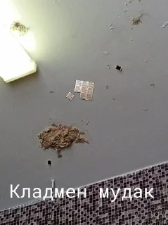 Sticker Лапи даби пью • @DayStikBot - 0