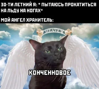 Стикер • ✤ • ЛАПКИ-ЛАПКИ • ✤ • - 8