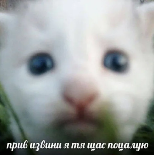 Sticker @sherstyanoyali - 11