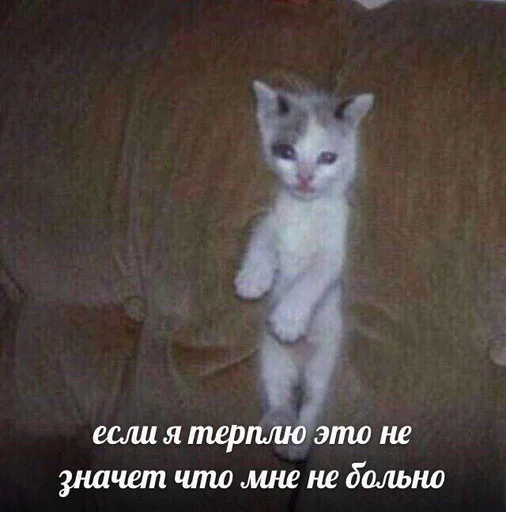 Sticker @sherstyanoyali - 10