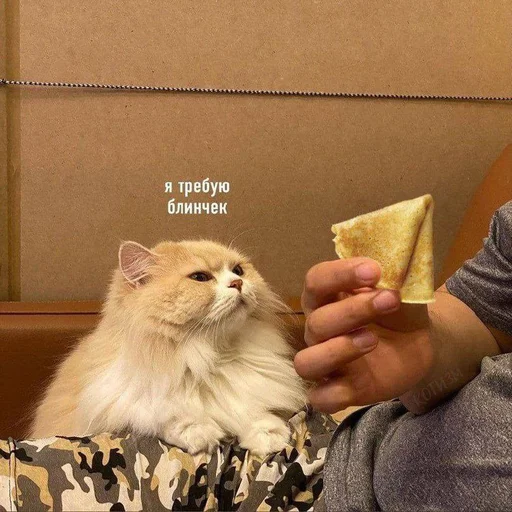 Sticker @sherstyanoyali - 9