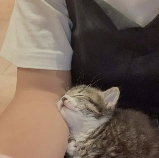 Sticker @sherstyanoyali - 7