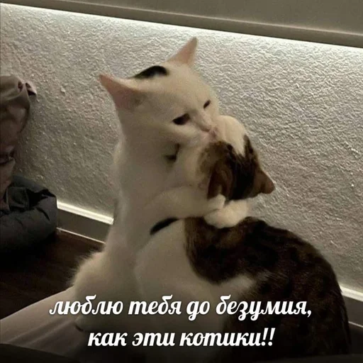 Sticker @sherstyanoyali - 6