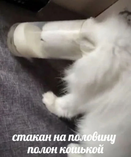 Sticker @sherstyanoyali - 5