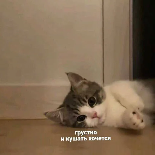 Sticker @sherstyanoyali - 3