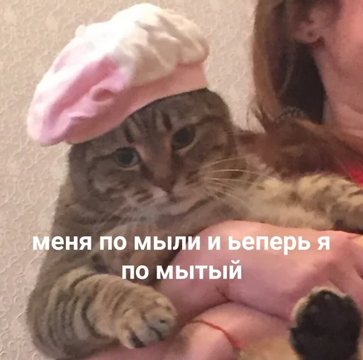 Sticker @sherstyanoyali - 2