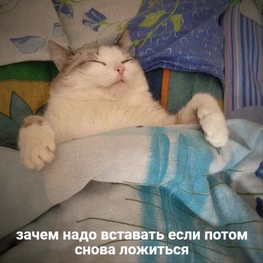 Sticker @sherstyanoyali - 1