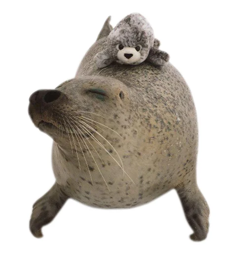 животное млекопитающее водные млекопитающие