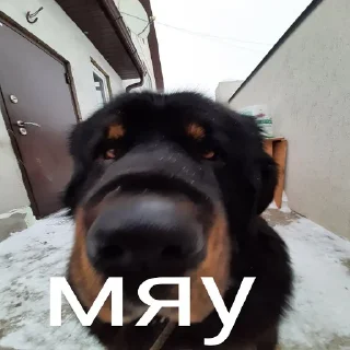 Sticker Биологию прогуливаем? - 8