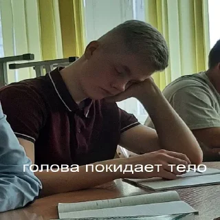 Sticker Биологию прогуливаем? - 0