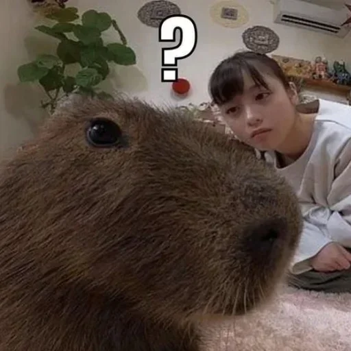 Стикер LdogmaN_by_stickers_stealer_bot - 1