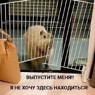 Sticker @sexstikkers - 3