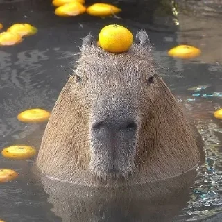 Sticker @sexstikkers - 5