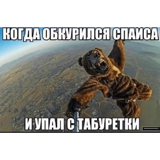 Sticker LdzibR_by_stickers_stealer_bot - 1