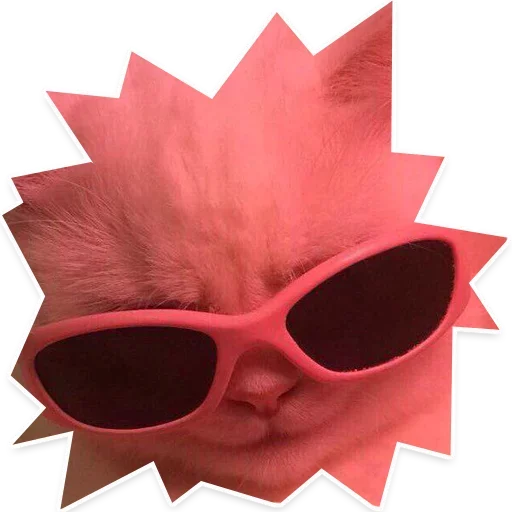 Sticker Leenzaandco - 1