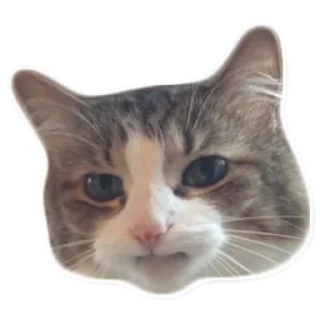 Sticker leenza&co - 9