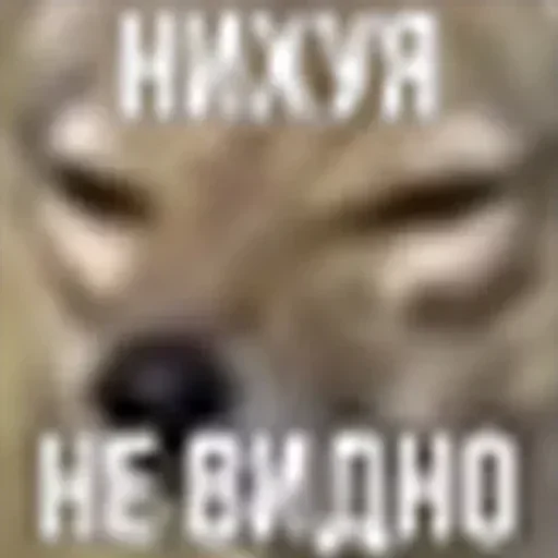 Sticker Лингард by @fStikBot - 10