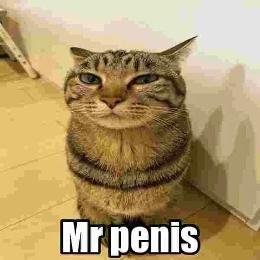 Mr penis - 