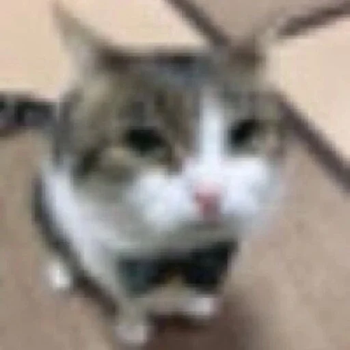 Sticker Legend_Mr_penis - 1