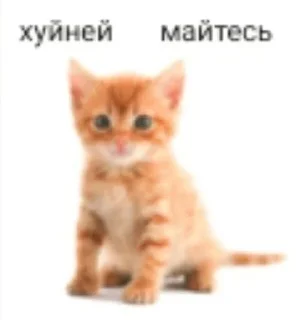 Стикер Mr penis - 6