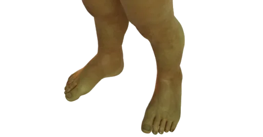 ступни Ноги палец ноги