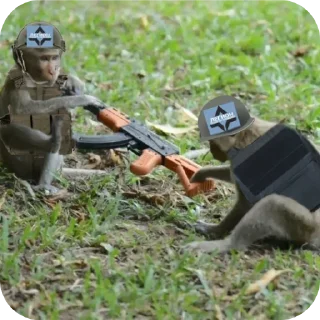 Sticker Легион «Защиты бибизян» - 4