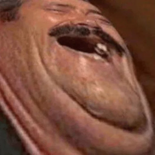 wrinkle person animal