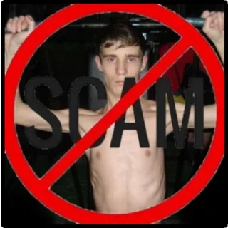 Стикер Legit✅🥷 - 10