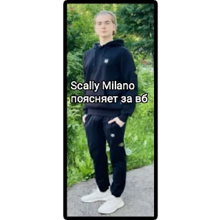 Стикер Legit✅🥷 - 6