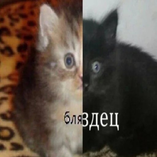 Стикер легкая наркомания - 11