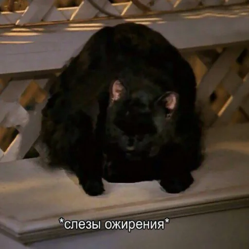 Стикер легкая наркомания - 3