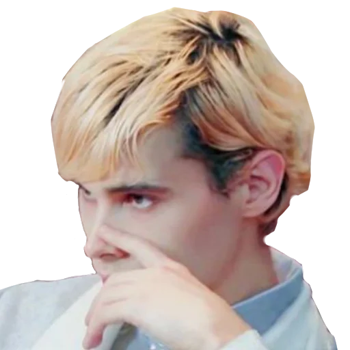 Человек человеческое лицо причёска