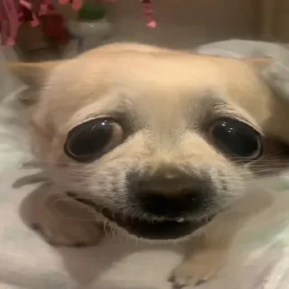 Sticker Леля - 2