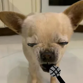 Sticker Леля - 6