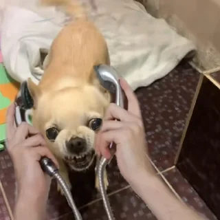 Sticker Леля - 9