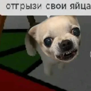 Sticker Леля - 3