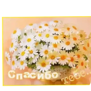 Стикер Лена😜 - 0