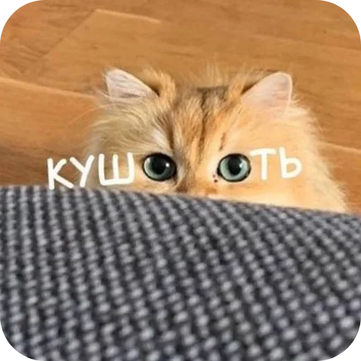 Стикер LenochkaMurrr - 1