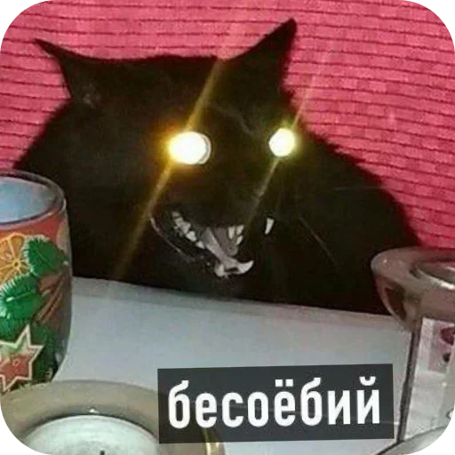 Стикер LenochkaMurrr - 1