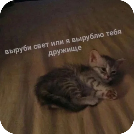 Sticker LenochkaMurrr - 1