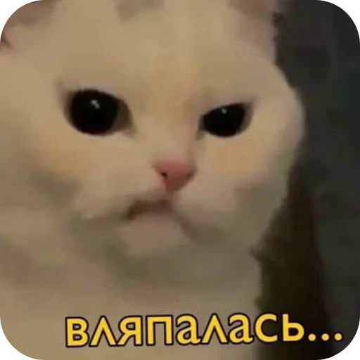 ЛеночкаМуррр - 