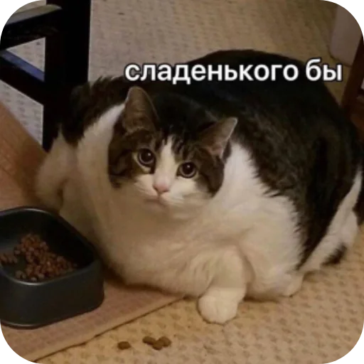 Sticker LenochkaMurrr - 1